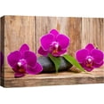 thumbnail image 1 of HFDF Canvas Prt Wall Art Orchid Trio & Brown Wood Gra Floral Plants Photography Realism Zen Relax/Calm Multicolor Ultra for Livg Room, Bedroom, Office - 16x12inch Framed, 1 of 5
