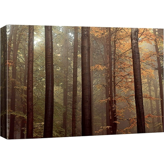 HFDF Canvas Prt Wall Art Red Pe Tree Forest Autumn Nature Wilderness Photography Modern Art Rustic Scenic Colorful Multicolor for Livg Room, Bedroom, Office - 20x16inch Framed