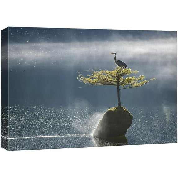 HFDF Canvas Prt Wall Art Solitary Bird on Tree Misty Lake Animals Photography Realism Rustic Scenic Landscape Wilderness Zen Colorful for Livg Room, Bedroom, Office - 20x16inch Framed