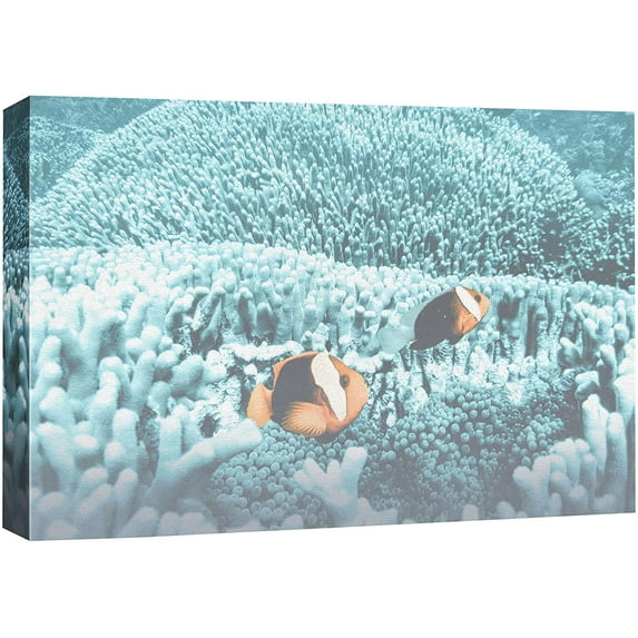 HFDF Canvas Prt Wall Art Two Clownfish The Coral Amphibians Ocean Photography Realism Nautical Closeup Colorful Multicolor Ultra for Livg Room, Bedroom, Office -- 10x8inch Framed