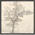 thumbnail image 1 of HFDF Canvas Prt Wall Art Vtage Antique Pencil Sketch Tree Branches Drawg Monochrome Nature Wilderness Illustrations Colorful for Livg Room, Bedroom, Office -Black 24x16inch Framed, 1 of 6