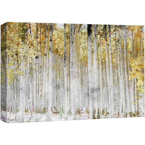 HFDF Canvas Prt Wall Art White Birch Tree Forest with Yellow Leaves Nature Wilderness Mixed Media Modern Art Rustic Landscape Relax/Calm Multicolor for Livg Room, Bedroom, Office - 14x11inch Framed