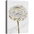thumbnail image 1 of HFDF Canvas Prt Wall Art White Gold Close Up Garden Carnation Flower Plant Nature Wilderness Illustrations Modern Art Farmhouse/Country Rustic Relax/Calm for Livg Room, Bedroom, - 11x14inch Framed, 1 of 5