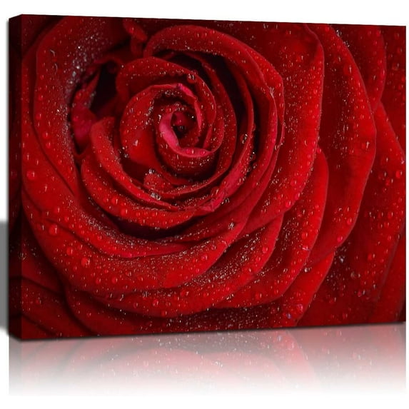 HFDF Flower Canvas Wall Art Dew on the Red Rose Pictures for Girls Room Home Decoration Modern Giclee Landscape Painting 1 Panel Stretched and Ready to Hang 16x12inch Framed