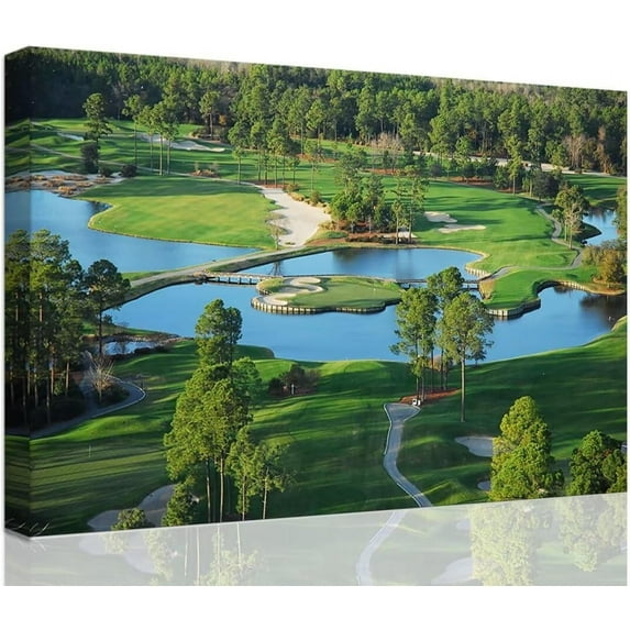 HFDF Kg's North Golf Course Wall Art for Livg Room Bedroom Bathroom Home Decorations Myrtle Beach National Club Picture Canvas Prts Modern Artwork Ready to Hang 10x8inch Unframed