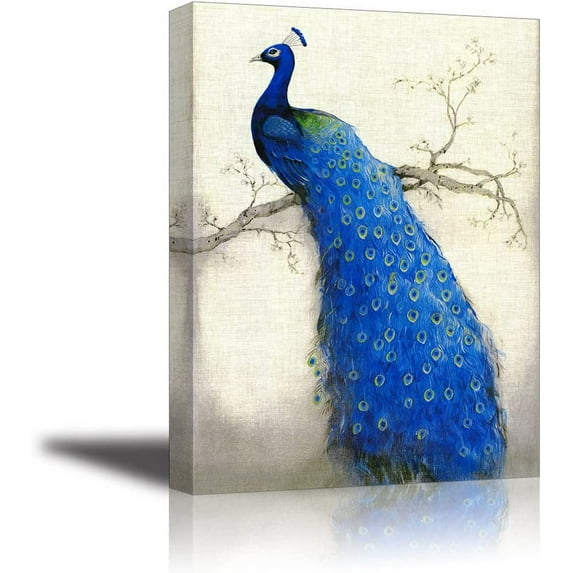 HFDF Peacock Wall Art Decor for Bedroom, HD Beautiful Oil Patg Canvas Prts of Elegant Proud Peacock on Beige Pictures (1" Thick , Waterproof Artwork, Bracket Mounted Ready to Hang) 20x24inch Framed