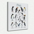 thumbnail image 1 of HFDF Pengus of the World Wall Art - Pengu Decor, Educational Posters, Cute Gifts for Girls Women - 8x10inch Framed, 1 of 5