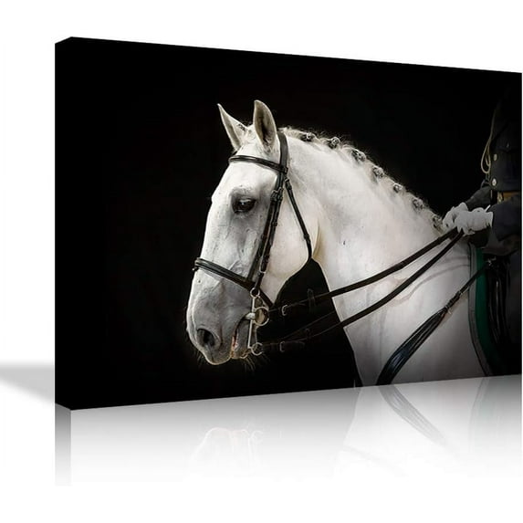 HFDF Wall Art Beautiful White Horse Painting the Picture Print On Canvas Animal Pictures For Home Decor Decoration Gift (Stretched By Wooden ,Ready To Hang) 16x12inch Framed