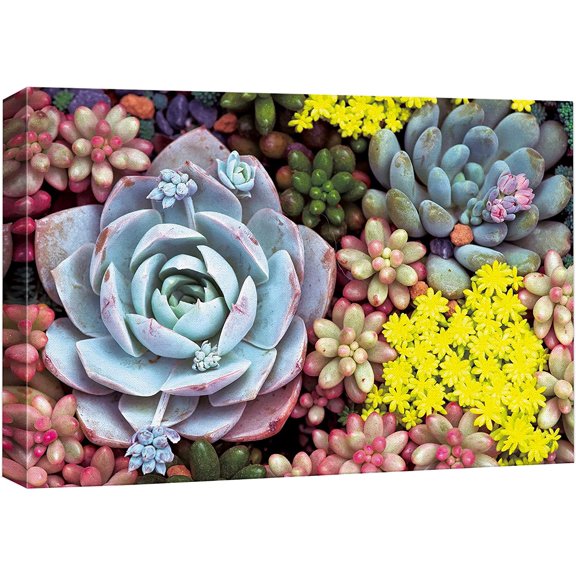 HFDF Wexford Home Blushy and Splashy Gallery Wrapped Canvas Wall Art 10x8inch Unframed