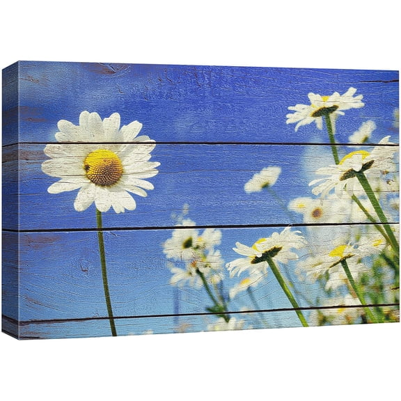 HFDF Wexford Home Burst of Spring Gallery Wrapped Canvas Wall Art,, 16x12inch Framed