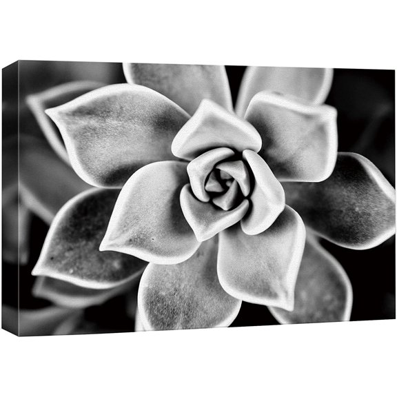 HFDF Wexford Home Golden Flower Power Gallery Wrapped Canvas Wall Art,, 16x12inch Framed