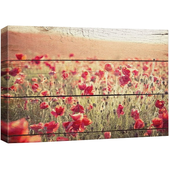 HFDF Wexford Home Weathered White Gallery Wrapped Canvas Wall Art, 14x11inch Framed