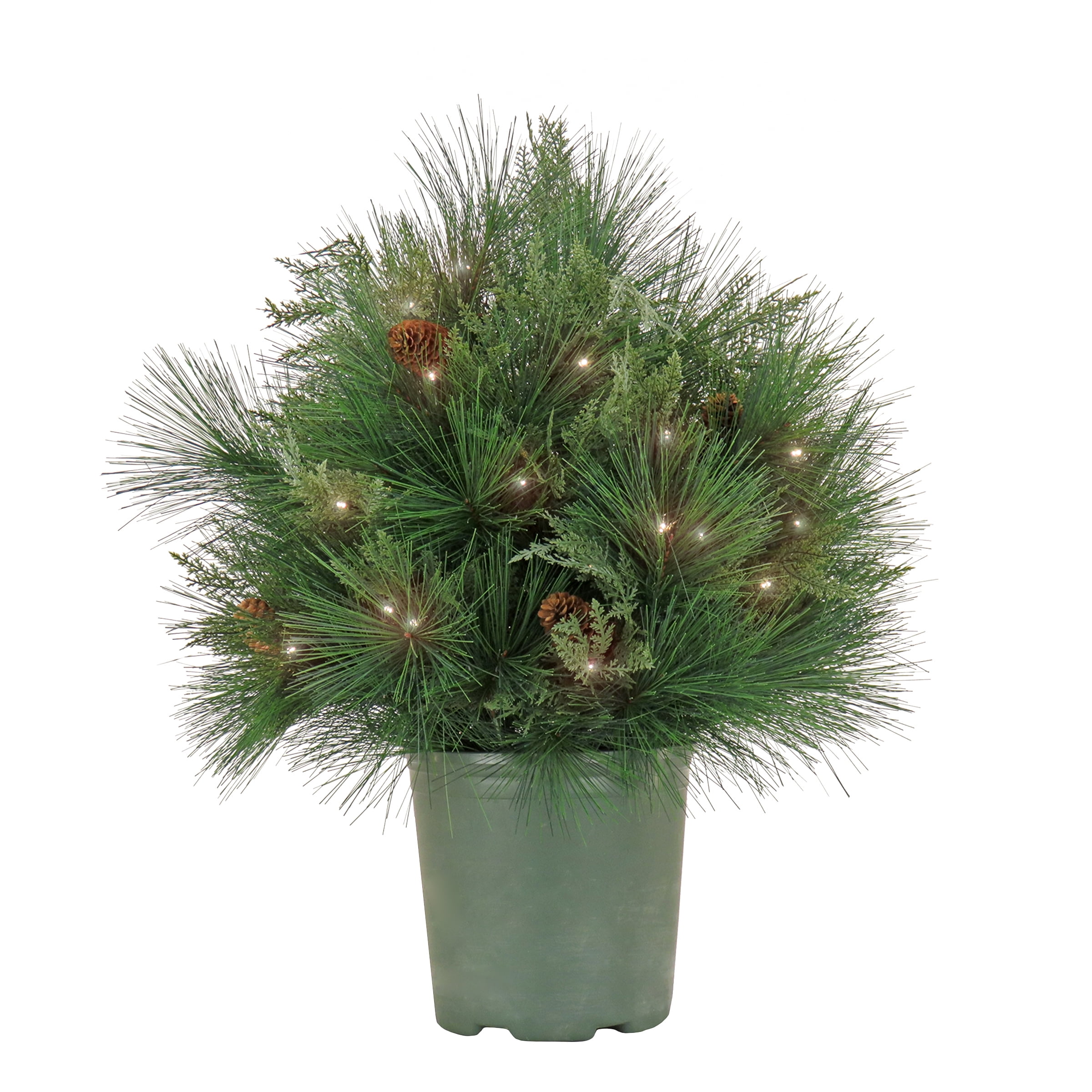 HGTV Home Collection Pre Lit Artificial Christmas Shrub Planter Filler