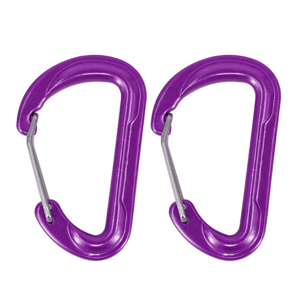 HGYCPP 2Pcs Spring Snaps Hook Aluminum Alloys Carabiner Keychains Clip