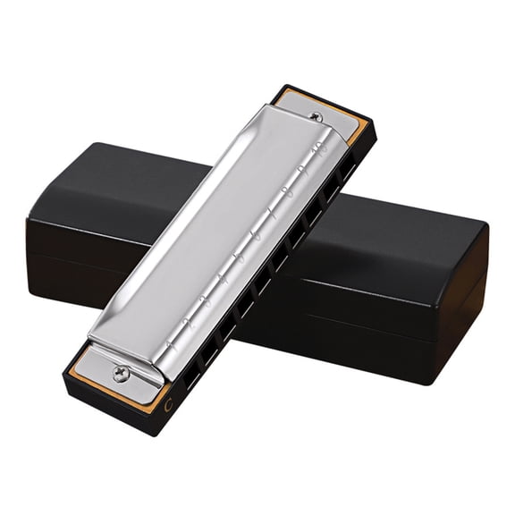 HGYCPP for Key of C Blues Harmonica 10 Holes 20 Tones Diatonic Blue Harp Mouth Harmonica Organ for Adults, Professional Players