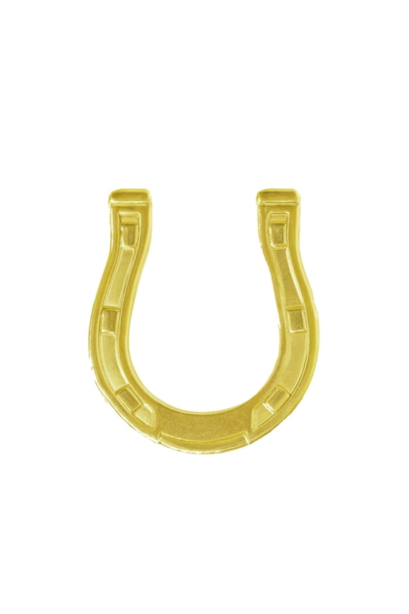 Gold Color Horseshoe Lapel Pin for Western Wear
