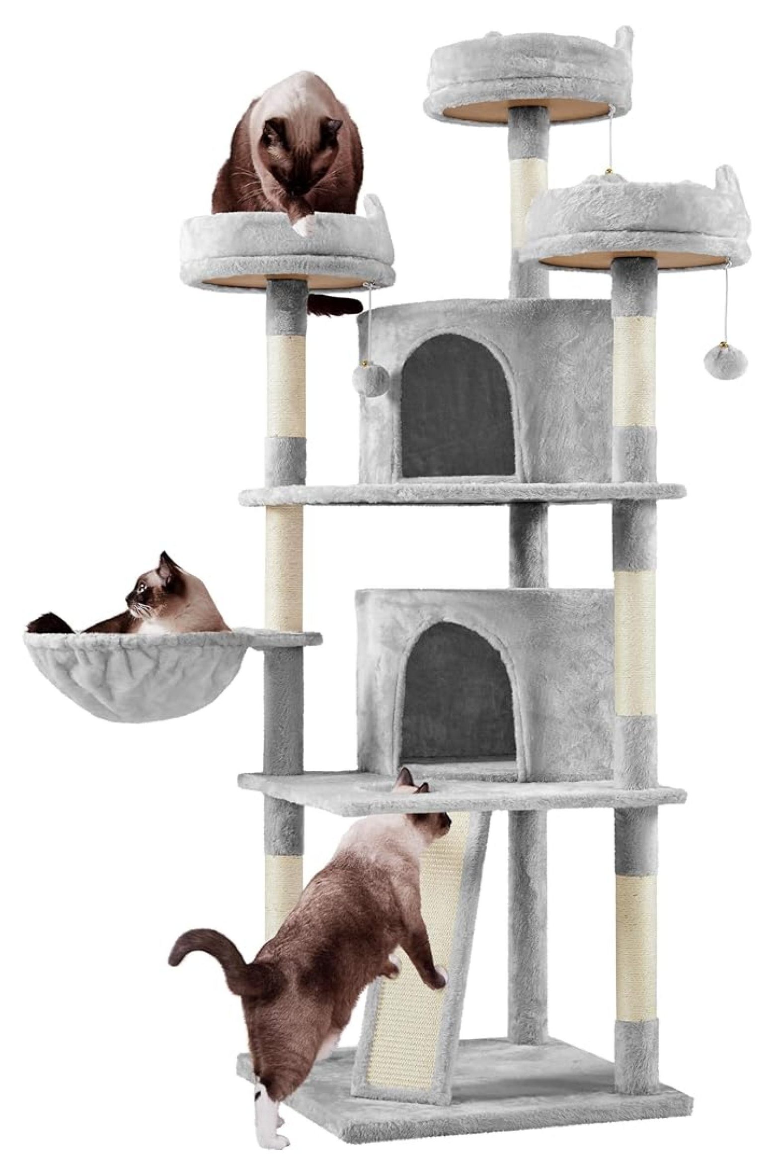 Cat Tree For Big Cats photo
