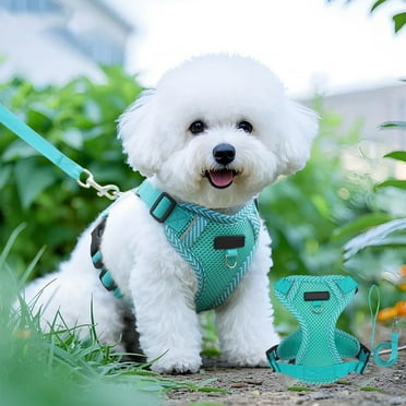 HHBEAUTY Dog and Cat Harness and Leash for Walking, Upgrade Can be Adjusted in Four Directions and Breathable Cat Harness for Anti Escape That can be Fitted and Positioned, Reflective Strips Harness