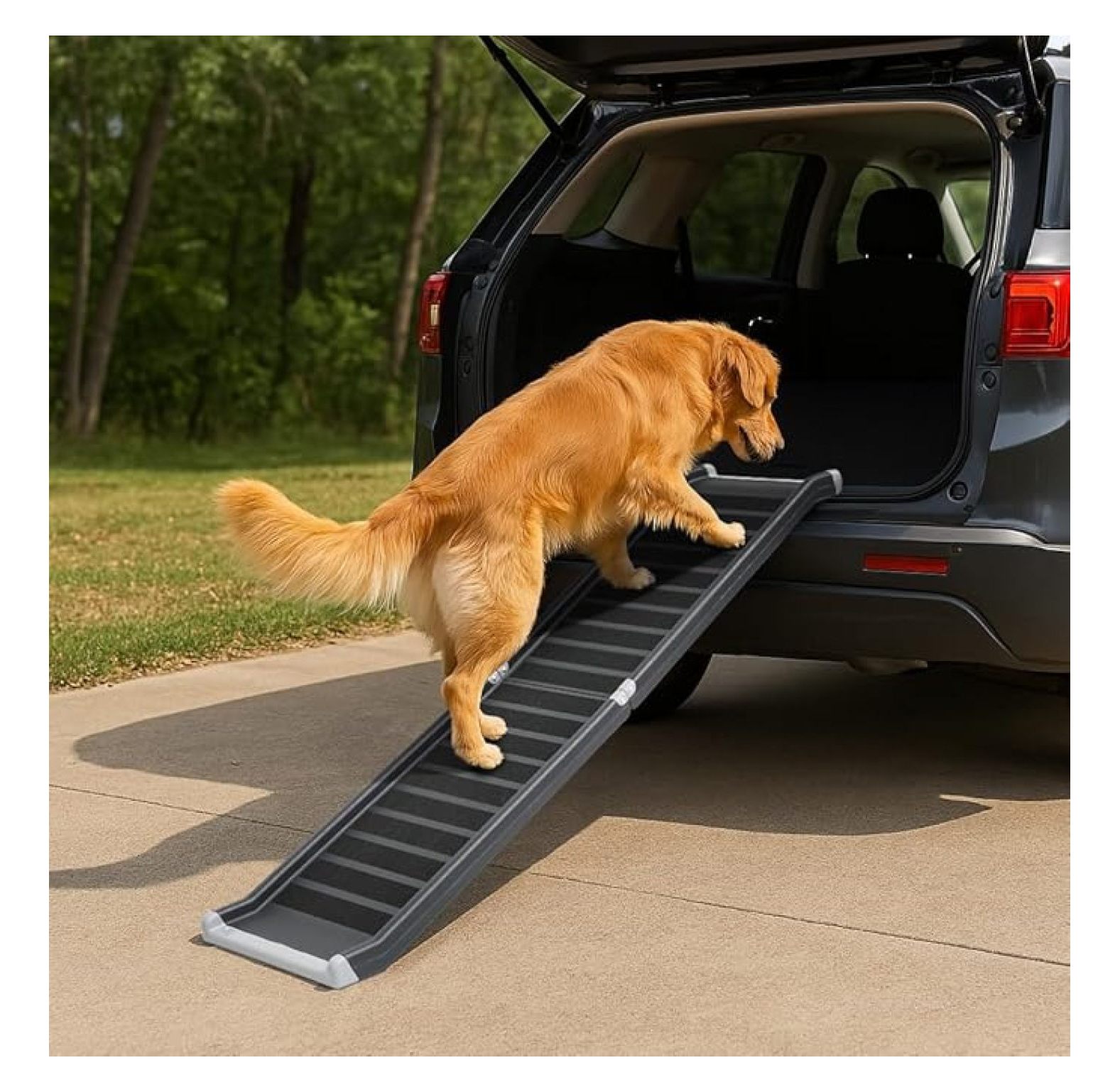 Large Dog Ramp Out Window HHBEAUTY Folding Dog Ramp for Large Dogs, 63