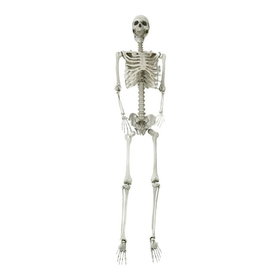 HHBEAUTY Halloween Skeleton Decoration, 72.8" Full Body Posable Hanging Skeleton with Movable Joints for Graveyard Haunted House Indoor Outdoor, White