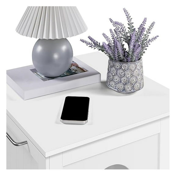 Qtypgm Hidden Litter Box Enclosure, Litter Box Cabinet Furniture, Indoor Pet Crate-Enclosed Decorative Cat House Pet Side Table for Living Room/Bathroom, Cat Washroom with Vent Holes & Door,White