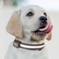 thumbnail image 1 of HHGBAD USB & Solar Charging Pet Light Collar and Leash - Adjustable, Durable, Waterproof - Multiple Lighting Modes for Night Walks, 1 of 3