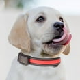 thumbnail image 1 of HHGBAD USB & Solar Charging Pet Light Collar and Leash - Adjustable, Durable, Waterproof - Multiple Lighting Modes for Night Walks, 1 of 3