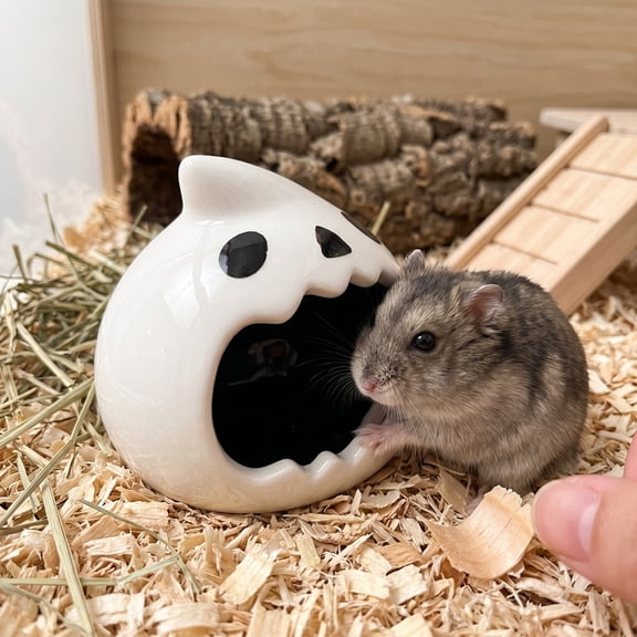HHJZPR Cute Ghost Ceramic Small Pet Hideout, 3.5in 2.75in Halloween Summerween GhostShaped Ceramic Shelter Decor