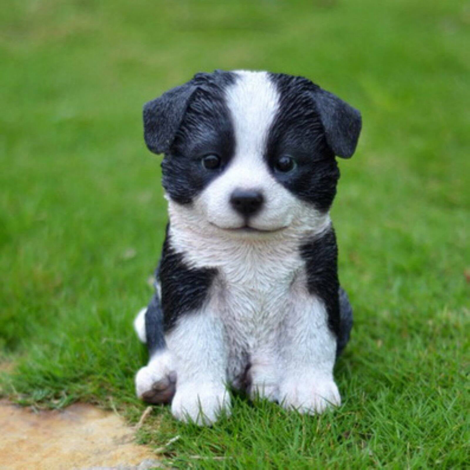 HI-LINE GIFT LTD. BORDER COLLIE PUPPY