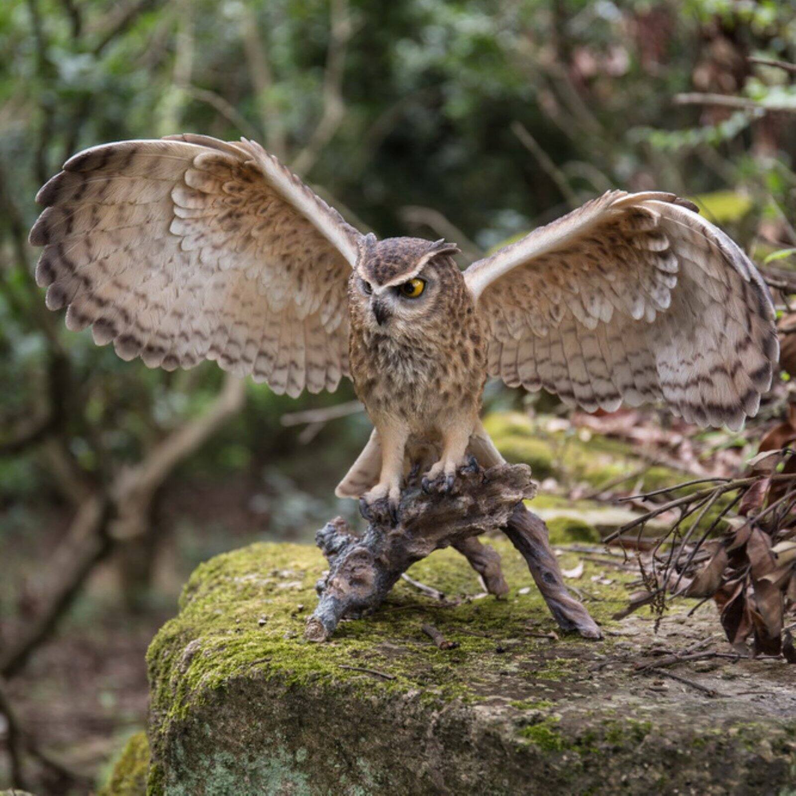 HI-LINE GIFT LTD. EAGLE OWL ON BRANCH W/WINGS OUT - image 1 of 5