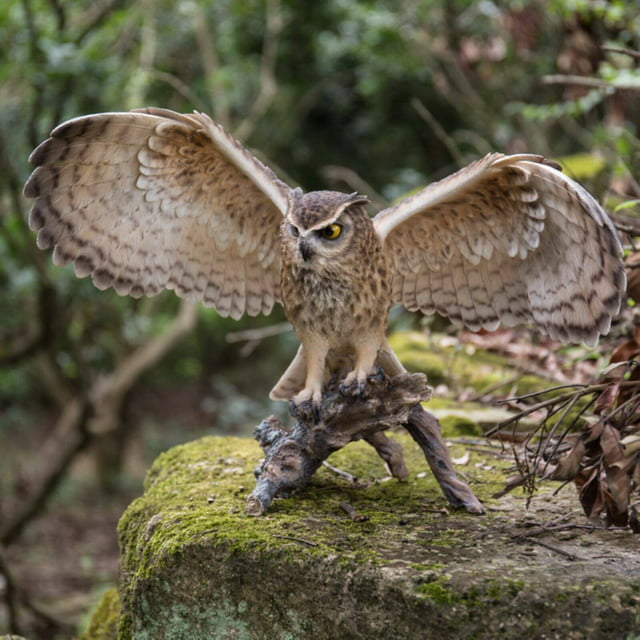 HI-LINE GIFT LTD. EAGLE OWL ON BRANCH W/WINGS OUT