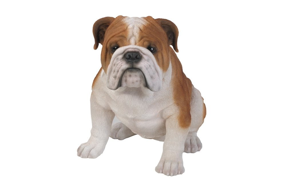 Large Brown and White Poly-Resin Bulldog Garden Statue