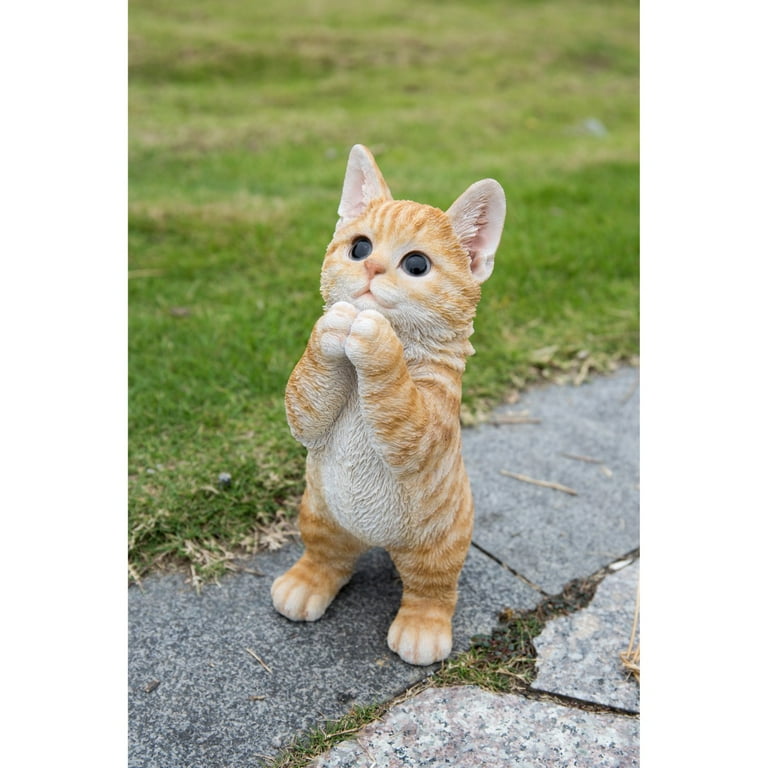 Orange striped cheap kitten