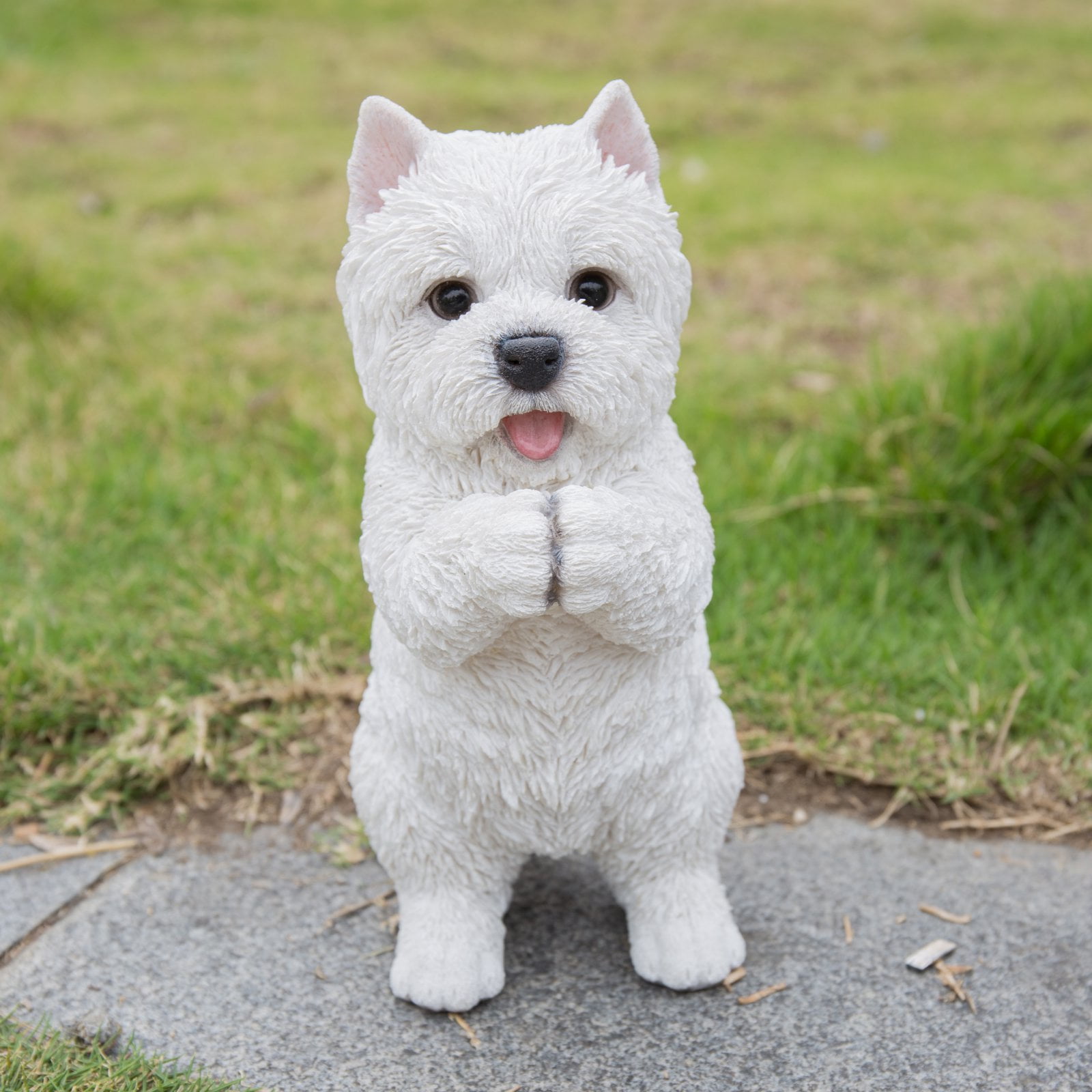 Available westie cheap puppies