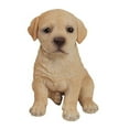 thumbnail image 1 of HI-LINE GIFT LTD. YELLOW LABRADOR PUPPY, 1 of 5