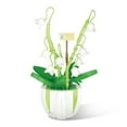 thumbnail image 1 of HI-REEKE Flower Micro Mini Building Block Set Bell Orchid Bouquet Plastic Kit Gift for Adult White, 1 of 5