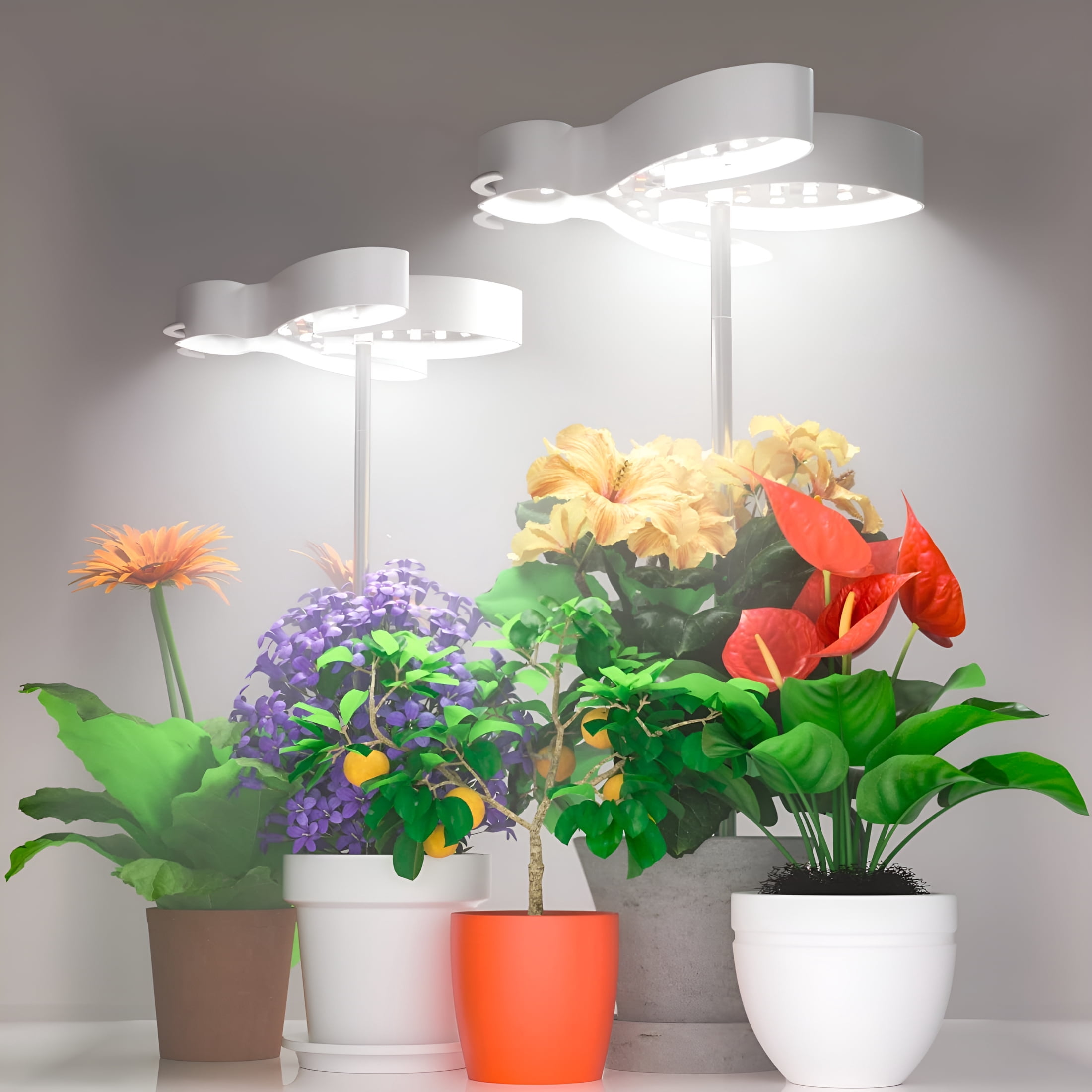 HIBIBUD 2 PACK LED Grow Lights,Full Spectrum Halo Light for Indoor ...