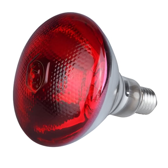 HIBIBUD 2026 New Led Light,250W Infrared Heat Lamp Anti Explosion Thickened Light Bulbs for Piglet Chicken Duck Birds A Floodlight,For Poultry Farming,Animal Hatcheries,Greenhouses,Reptile Heating