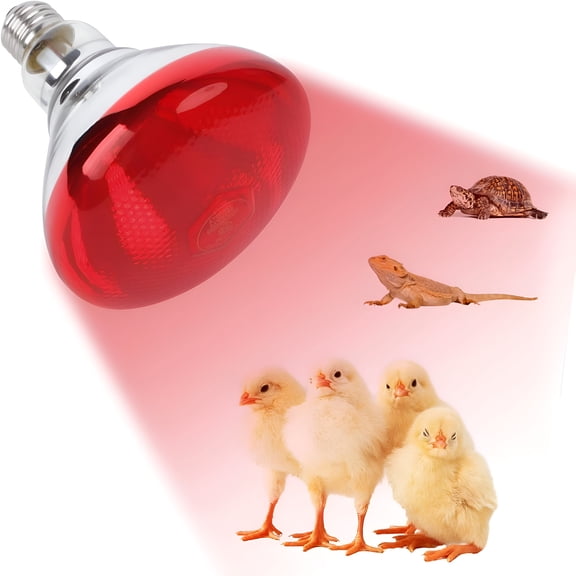 HIBIBUD 250W Red Heat Lamp Bulbs for Chicken,Infrared Flood Light Heat Lamp Bulb,Incandescent Light Heat Lamps for Chicks,Reptile,Pets,Par38 Glass E26 Base Red Light Chicken Lamp