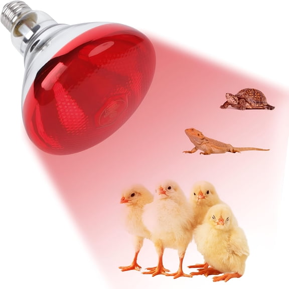 HIBIBUD 250W Red Heat Lamp Bulbs for Chicken, Infrared Flood Light Heat Lamp Bulb, Incandescent Light Heat Lamps for Chicks, Reptile, Pets, Par38 Glass E26 Base