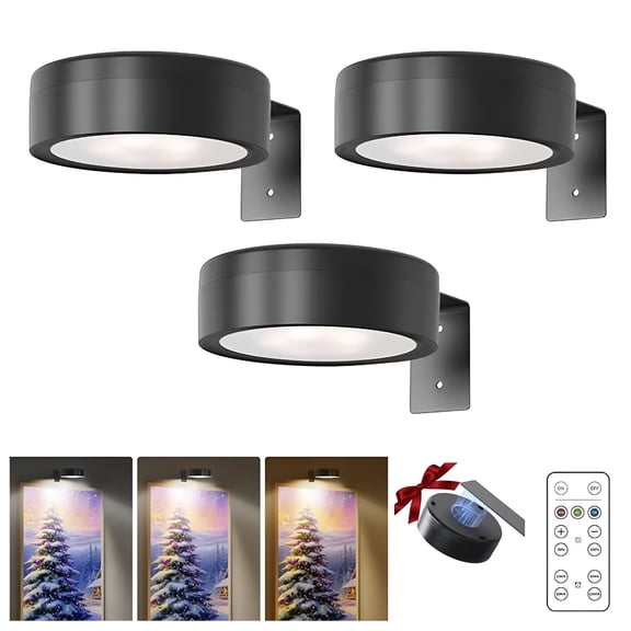 HIBIBUD 3 Pack Picture Lights,Magnetic Battery Operated Painting Light with 3 Color Temperatures and 5 Brightness,Remote Dimmable Timer Picture Frame Light for Art Painting,Art Display