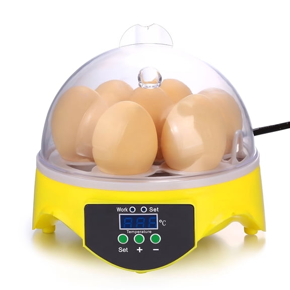 HIBIBUD 7-Egg Chicken Incubator with Temperature Control, Smart Chicken Incubators, 360 View Poultry Incubator, Ideal for Hatching Chicken, Quail, and Pigeon Eggs