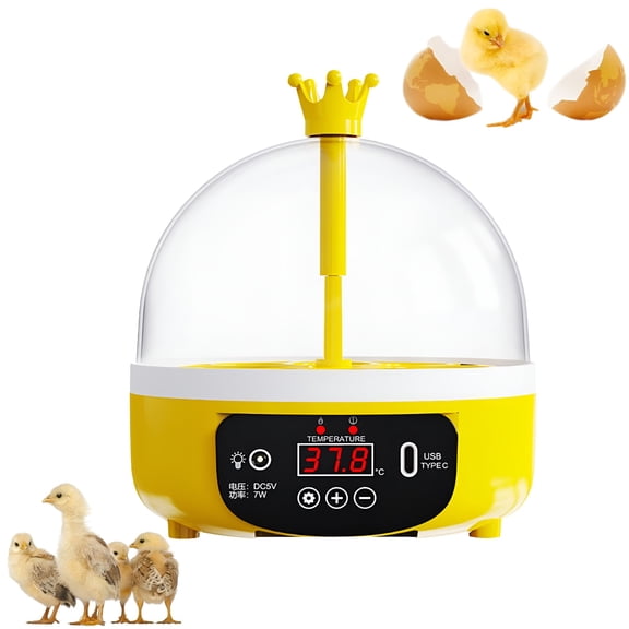 HIBIBUD Mini Egg Incubator for Kids with Temperature Display, Educational Chick Hatcher Kit for Classroom Science Projects&Homeschool Biology Learning