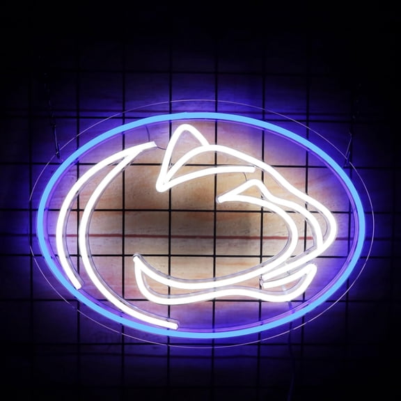 HIBIBUD Neon Sign for Room Decor Neon Light Led Team Sign Sports Neon Sign for Man Cave Wall Decor University Dormitory Decoration Usb Powered Dimmable 15.2"*10.8"