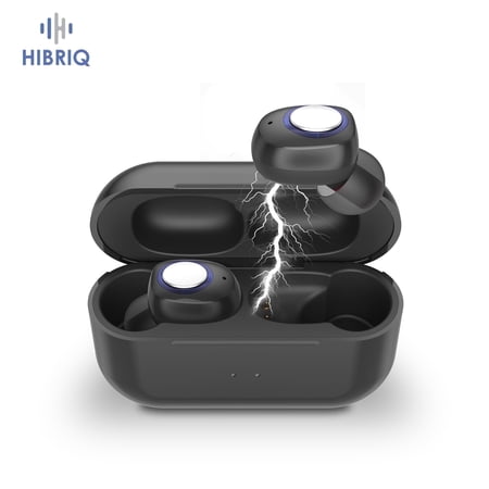 HIBRIQ Rechargeable Hearing Aids with Charging Case, Auto Noise Cancellation & Volume Memory for Seniors HH-1605