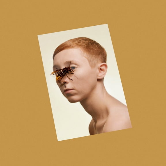 Lim HIGHER LIVING (Vinyl Record)