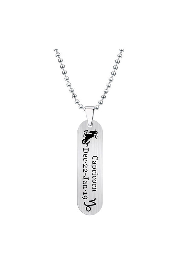 Men's Women's Stainless Steel Bar Zodiac Engraved Pendant Necklace Horoscope Amulet Jewelry Silver Capricorn