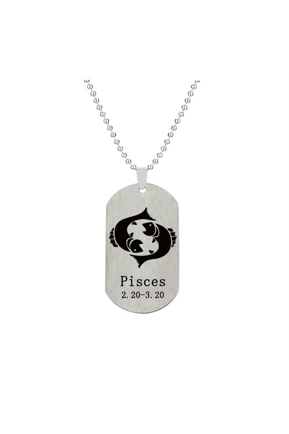 Men's Women's Stainless Steel Hip Hop Dog Tag Zodiac Pendant Astrology Constellation Necklace Silver Pisces