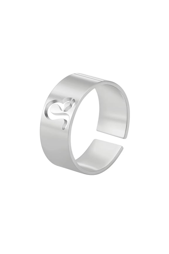 Women's Stainless Steel 12 Celestial Sign Constellation 8MM Smooth Rings Gifts for Birthday Open Rings Silver Lion Adjustable
