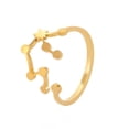 thumbnail image 1 of HIJONES Women's Stainless Steel 12 Celestial Sign Constellation Delicate Hollow Rings Gifts for Birthday Open Rings Gold Aquarius Adjustable, 1 of 2